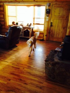 Facebook-20160215-065146